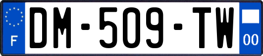DM-509-TW