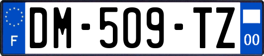 DM-509-TZ
