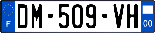 DM-509-VH