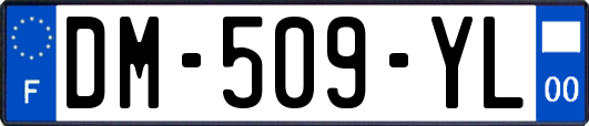 DM-509-YL