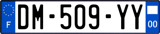 DM-509-YY