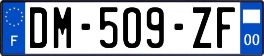 DM-509-ZF