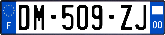 DM-509-ZJ