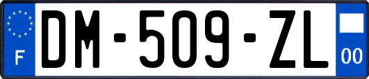 DM-509-ZL