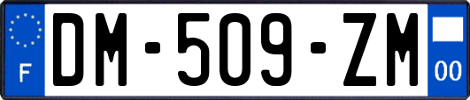 DM-509-ZM