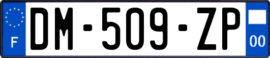 DM-509-ZP