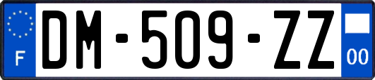 DM-509-ZZ