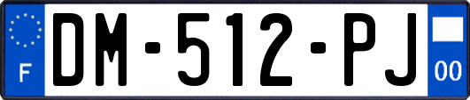 DM-512-PJ
