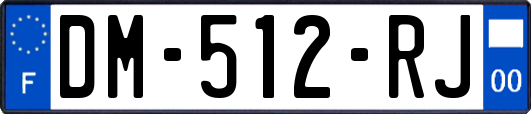 DM-512-RJ