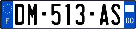 DM-513-AS