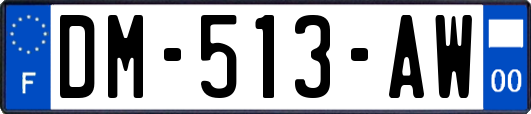 DM-513-AW