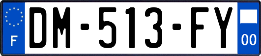 DM-513-FY