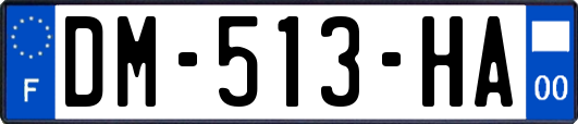 DM-513-HA