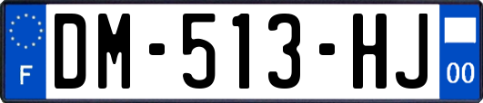 DM-513-HJ