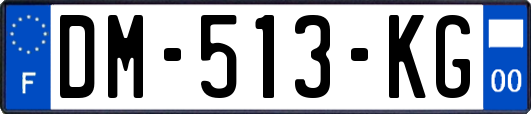 DM-513-KG