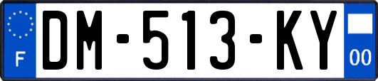 DM-513-KY