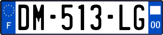 DM-513-LG