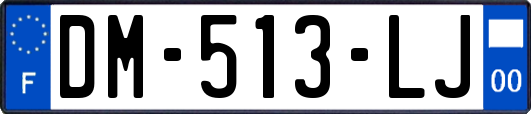 DM-513-LJ