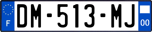 DM-513-MJ