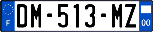 DM-513-MZ