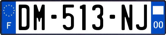 DM-513-NJ