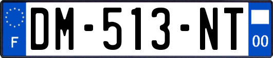 DM-513-NT