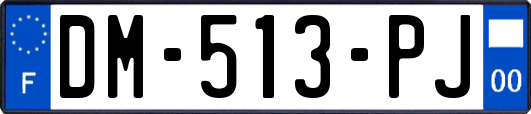 DM-513-PJ