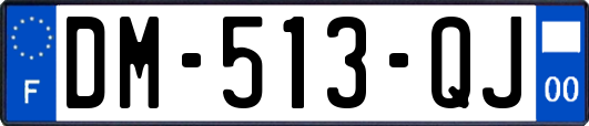 DM-513-QJ