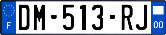 DM-513-RJ