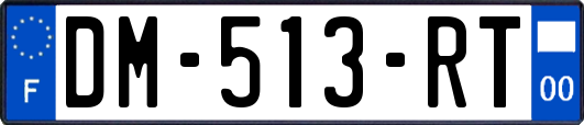 DM-513-RT