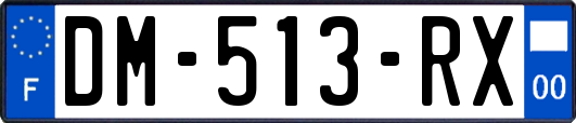 DM-513-RX