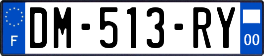DM-513-RY