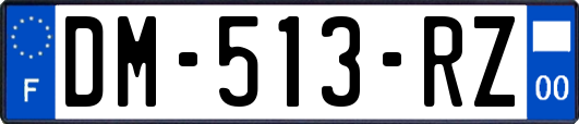 DM-513-RZ