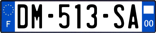 DM-513-SA