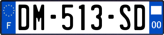 DM-513-SD