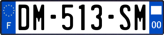 DM-513-SM
