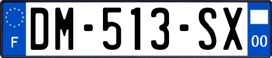DM-513-SX