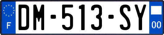 DM-513-SY