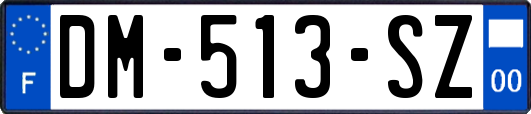 DM-513-SZ