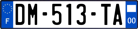 DM-513-TA