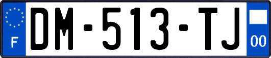 DM-513-TJ