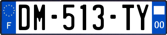 DM-513-TY