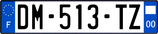 DM-513-TZ