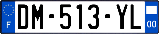 DM-513-YL