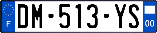 DM-513-YS