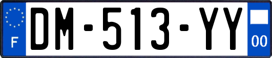 DM-513-YY