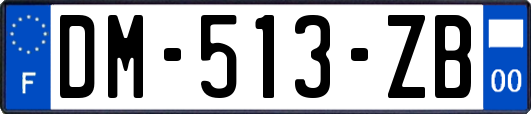 DM-513-ZB