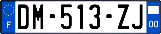 DM-513-ZJ