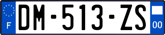 DM-513-ZS