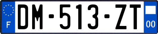 DM-513-ZT